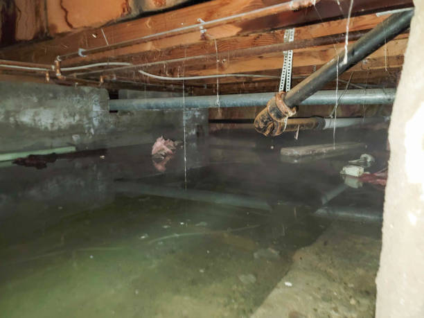 Best 24-hour water damage restoration  in Mcallen, TX