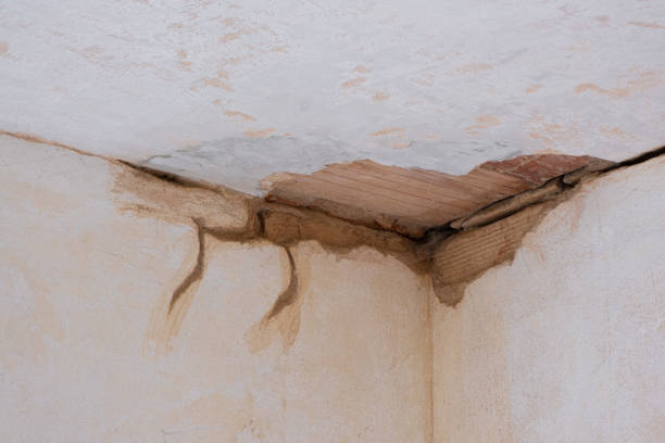 Best Water damage cleanup near me  in Mcallen, TX