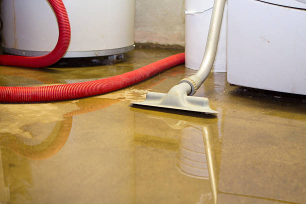 Best 24/7 water damage repair  in Mcallen, TX