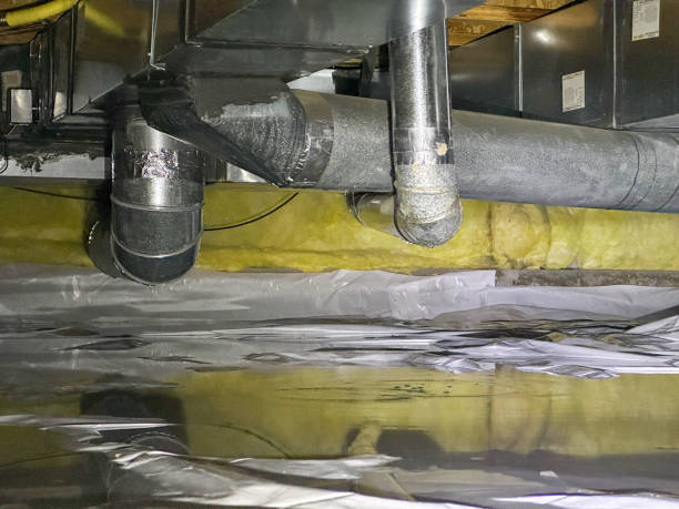 Best Ceiling water damage repair  in Mcallen, TX